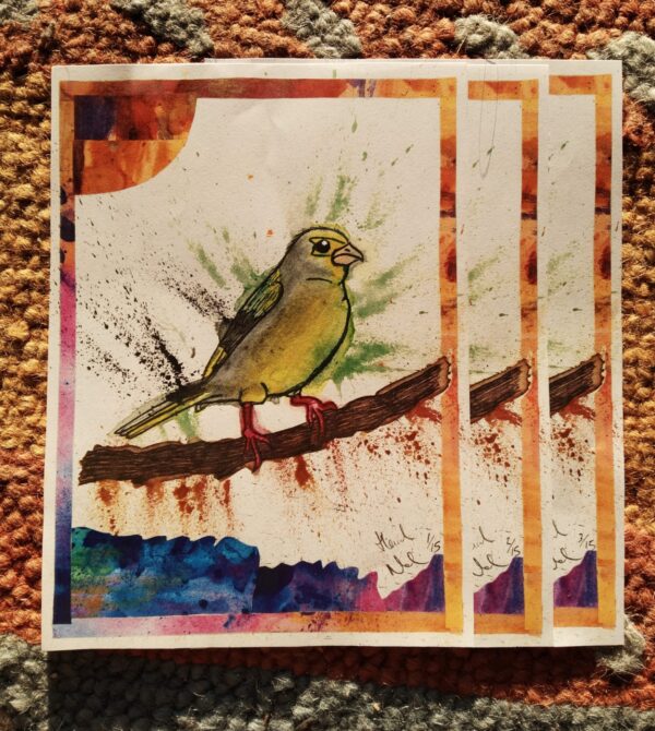 greenfinch prints